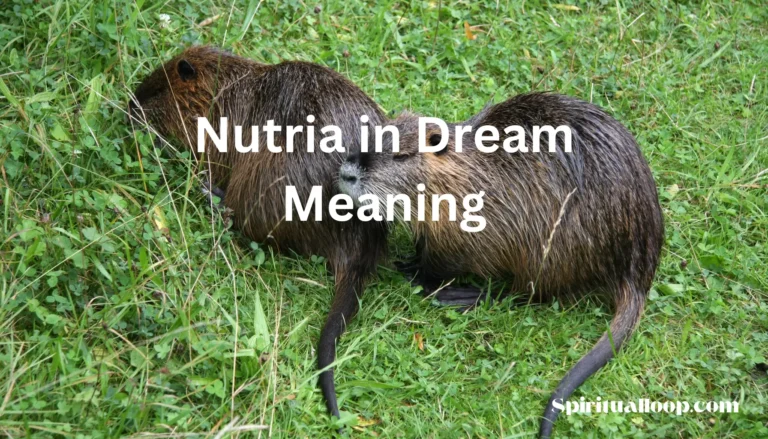 nutria in dream meaning